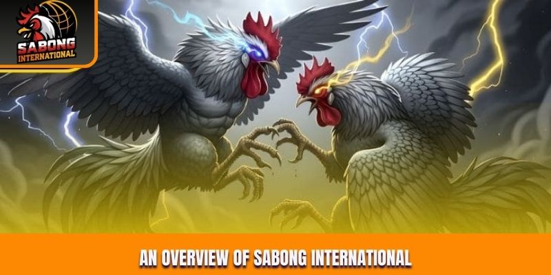 An overview of Sabong International