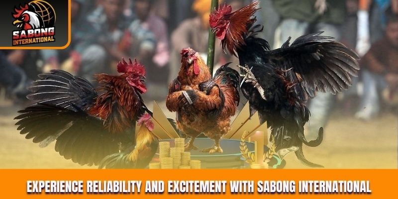 Experience reliability and excitement with Sabong International