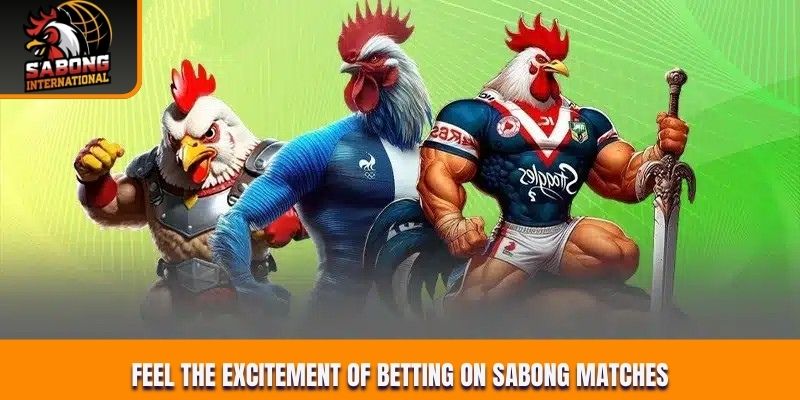 Feel the excitement of betting on Sabong matches