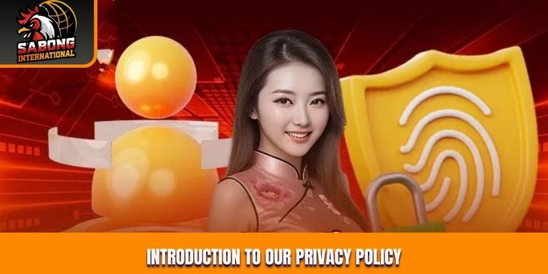 Introduction to our privacy policy