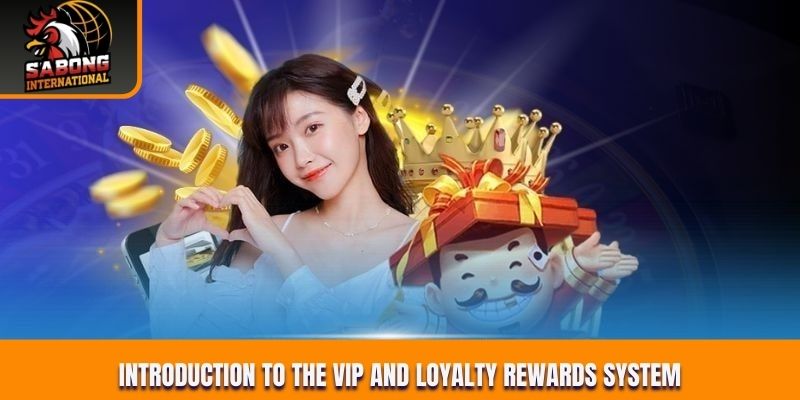 Introduction to the VIP and loyalty rewards system