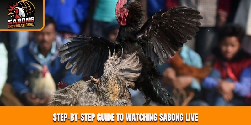 Step-by-step guide to watching Sabong live